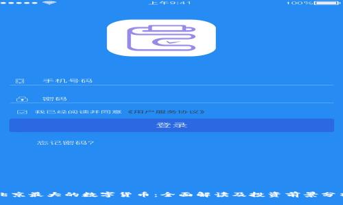 北京最大的数字货币：全面解读及投资前景分析