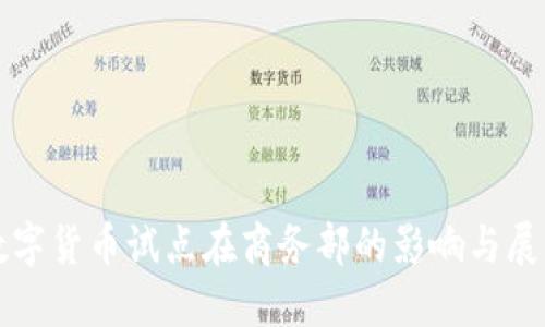 数字货币试点在商务部的影响与展望