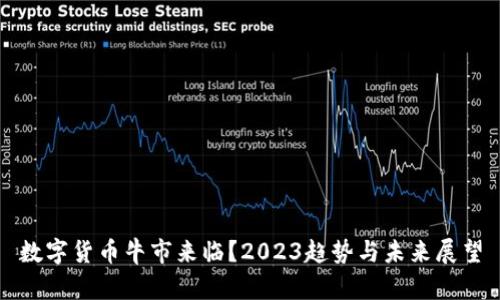 数字货币牛市来临？2023趋势与未来展望