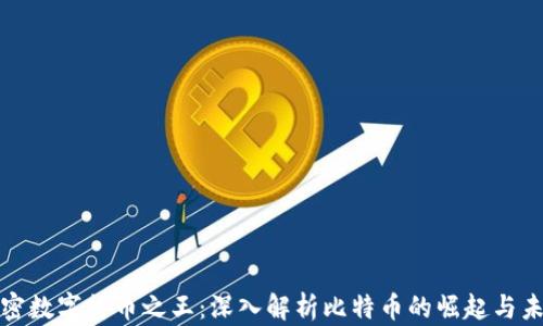 
加密数字货币之王：深入解析比特币的崛起与未来