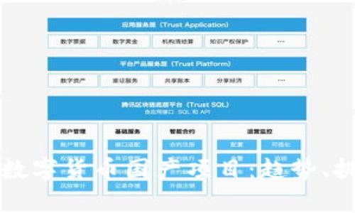 全面解析数字货币国产项目：趋势、挑战与未来