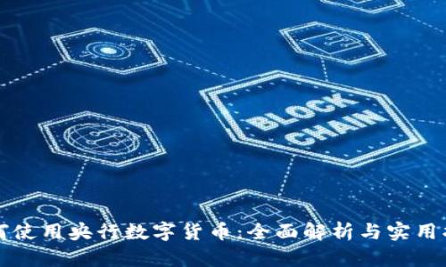 如何使用央行数字货币：全面解析与实用指南