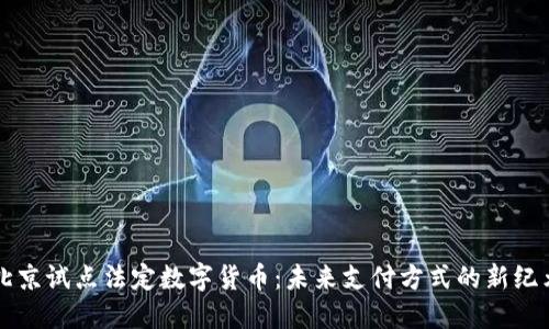北京试点法定数字货币：未来支付方式的新纪元