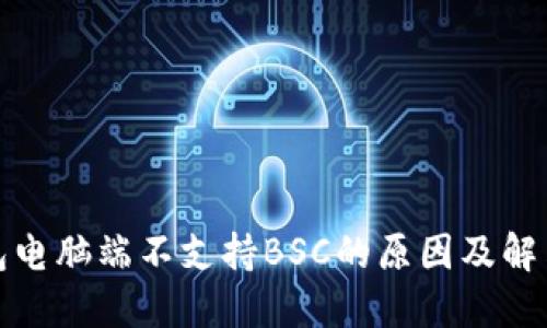 TP钱包电脑端不支持BSC的原因及解决方案