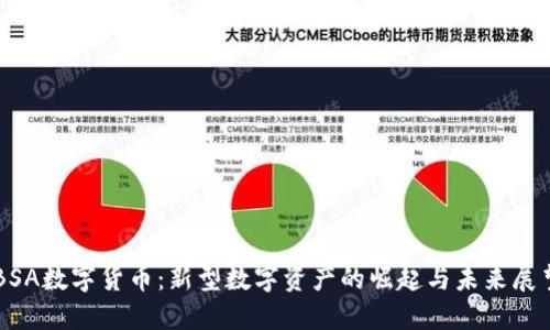 BSA数字货币：新型数字资产的崛起与未来展望