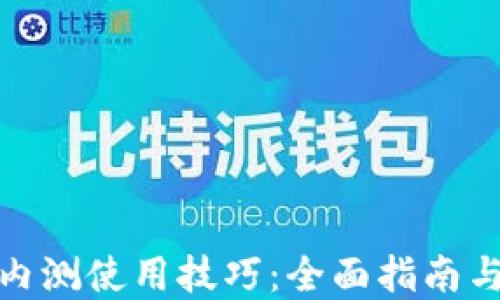 
数字货币内测使用技巧：全面指南与实用建议