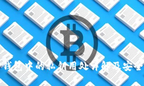 : TP钱包中的私钥用处详解及安全指南
