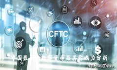 中国最大的数字货币及其