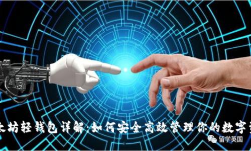 以太坊轻钱包详解：如何安全高效管理你的数字资产