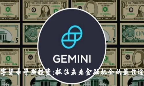 数字货币早期投资：抓住未来金融机会的最佳途径