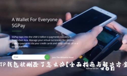 TP钱包被删除了怎么办？全面指南与解决方案