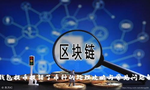 TP钱包提币提错了币种的处理攻略与常见问题解答