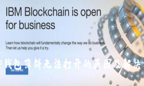 : TP钱包薄饼无法打开的原因及解决方案