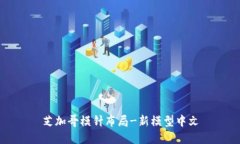 芝加哥模针布局-新模型中