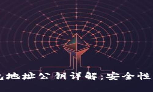 以太坊钱包地址公钥详解：安全性与使用指南