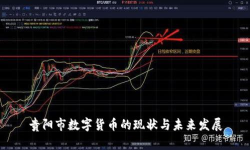 贵阳市数字货币的现状与未来发展