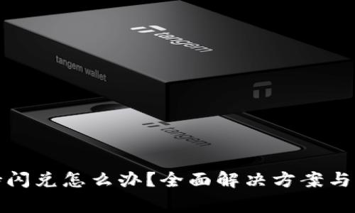 TP钱包不支持闪兑怎么办？全面解决方案与常见问题解答