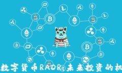 深入探讨数字货币RADR：未