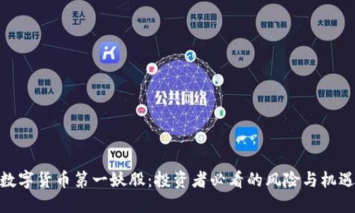 数字货币第一妖股：投资者必看的风险与机遇