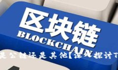 ### TP钱包到底是公链还是