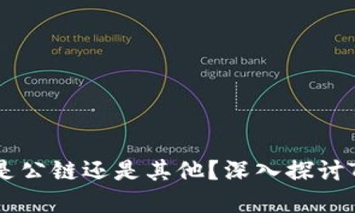 ### TP钱包到底是公链还是其他？深入探讨TP钱包的功能与性质