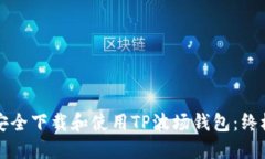 如何安全下载和使用TP波场