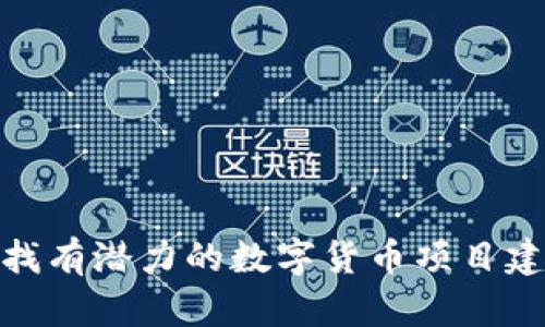 如何寻找有潜力的数字货币项目建设机会