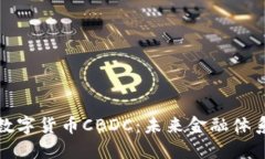 央行即将发行数字货币C