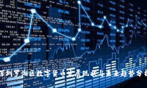 深圳罗湖区数字货币发展现状与未来趋势分析