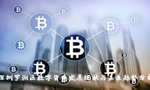 深圳罗湖区数字货币发展现状与未来趋势分析