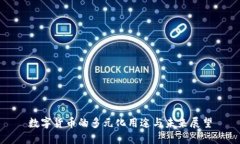 数字货币的多元化用途与