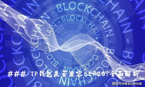 ### TP钱包是否兼容BEP20?全面解析