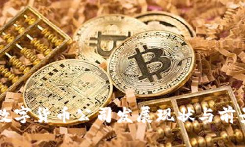 中国数字货币公司发展现状与前景分析