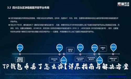 TP钱包币丢了怎么办？详尽指南与解决方案