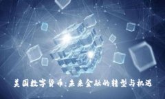 美国数字货币：未来金融