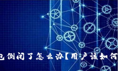 TP钱包倒闭了怎么办？用户该如何应对？