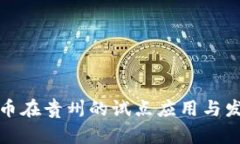 数字货币在贵州的试点应用与发展分析