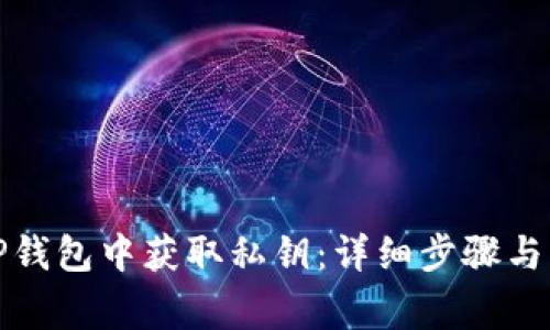 如何在TP钱包中获取私钥：详细步骤与注意事项