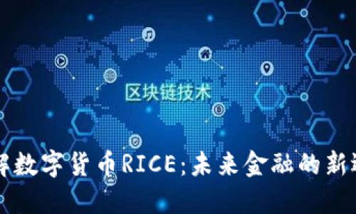 了解数字货币RICE：未来金融的新选择