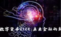了解数字货币RICE：未来金