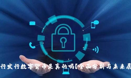 央行发行数字货币是真的吗？全面分析与未来展望