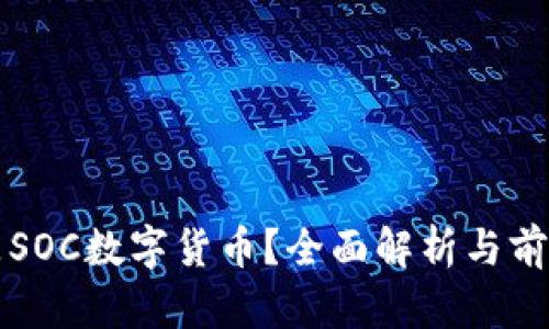 什么是SOC数字货币？全面解析与前景展望