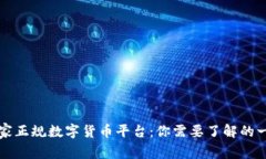 国家正规数字货币平台：