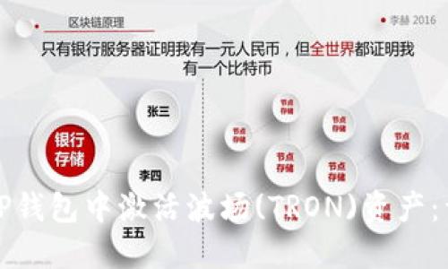 如何在TP钱包中激活波场(TRON)资产：详细指南
