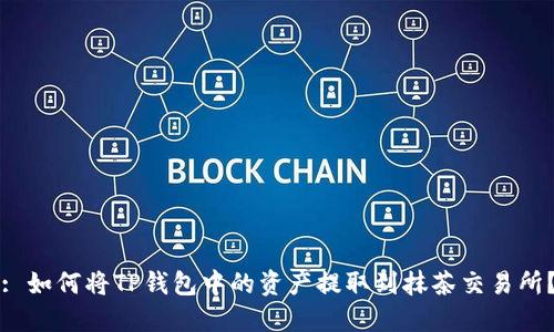 : 如何将TP钱包中的资产提取到抹茶交易所？