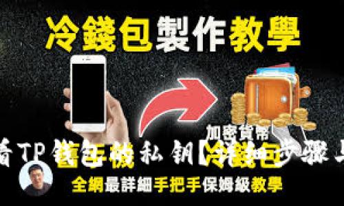 : 如何查看TP钱包的私钥？详细步骤与安全提示