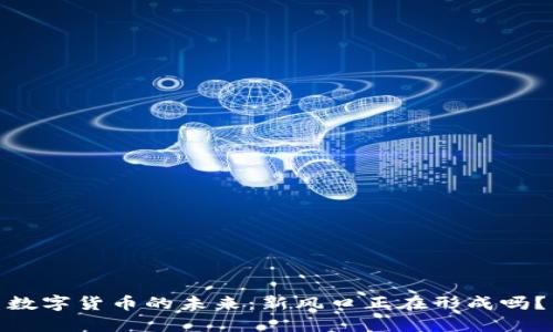 数字货币的未来：新风口正在形成吗？