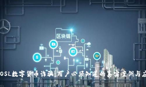 防范BCOSL数字货币诈骗：用户必须知道的真实案例与应对策略