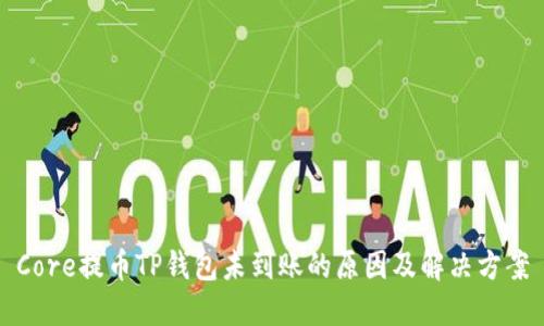 Core提币TP钱包未到账的原因及解决方案