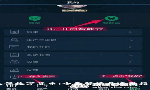 太保数字货币：全面解读与实用指南
